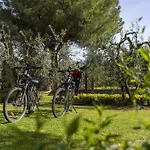 Sunshine Gambassi Terme