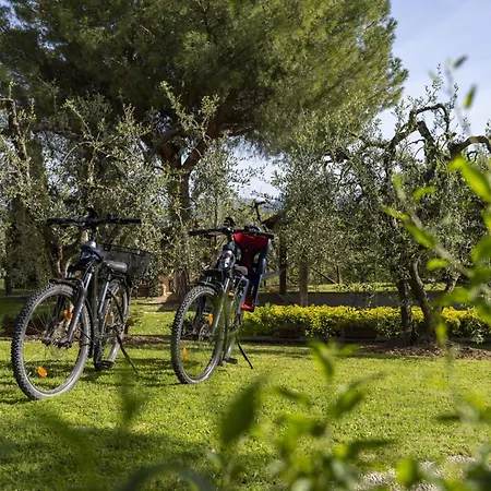 Sunshine Gambassi Terme